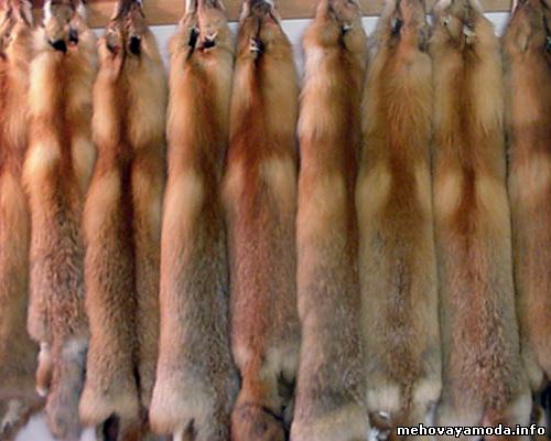 Lot fur red fox- так выглядит "лот" сортированных шкурок