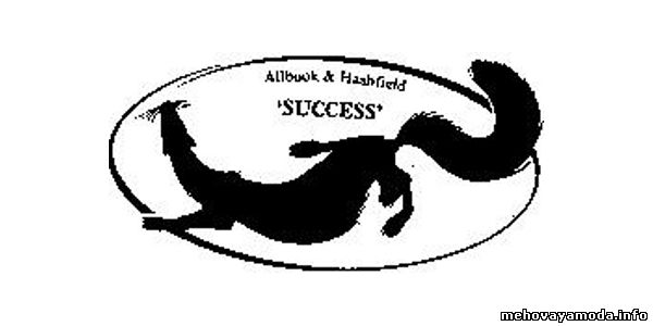 Бренд скорняжных машин Success
